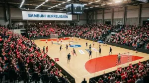 Dansk licens til håndbold-spil: Spillemyndigheden og bookmakerne
